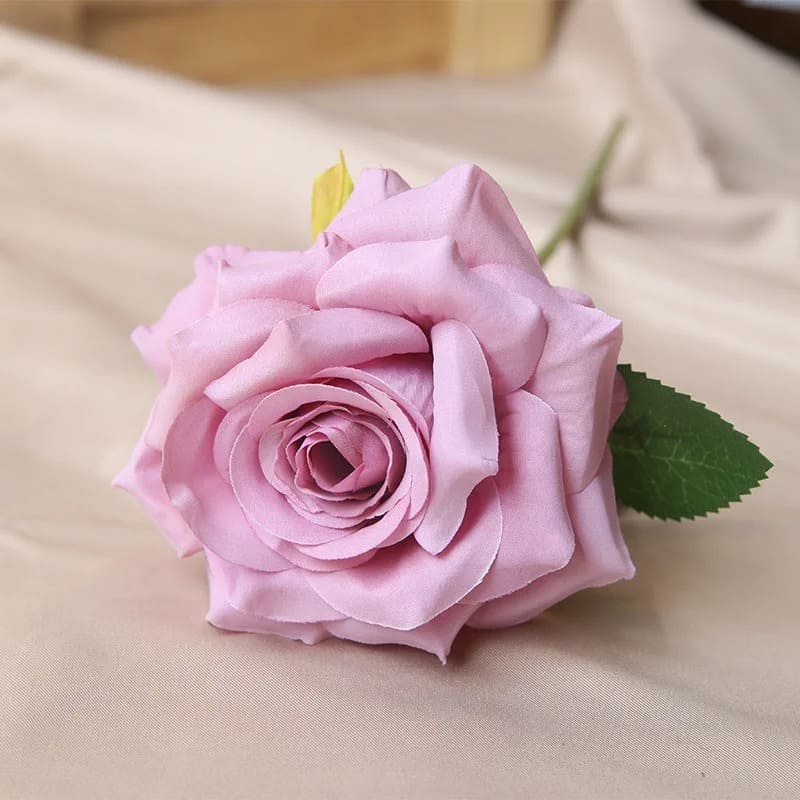 Rose Pas Cher