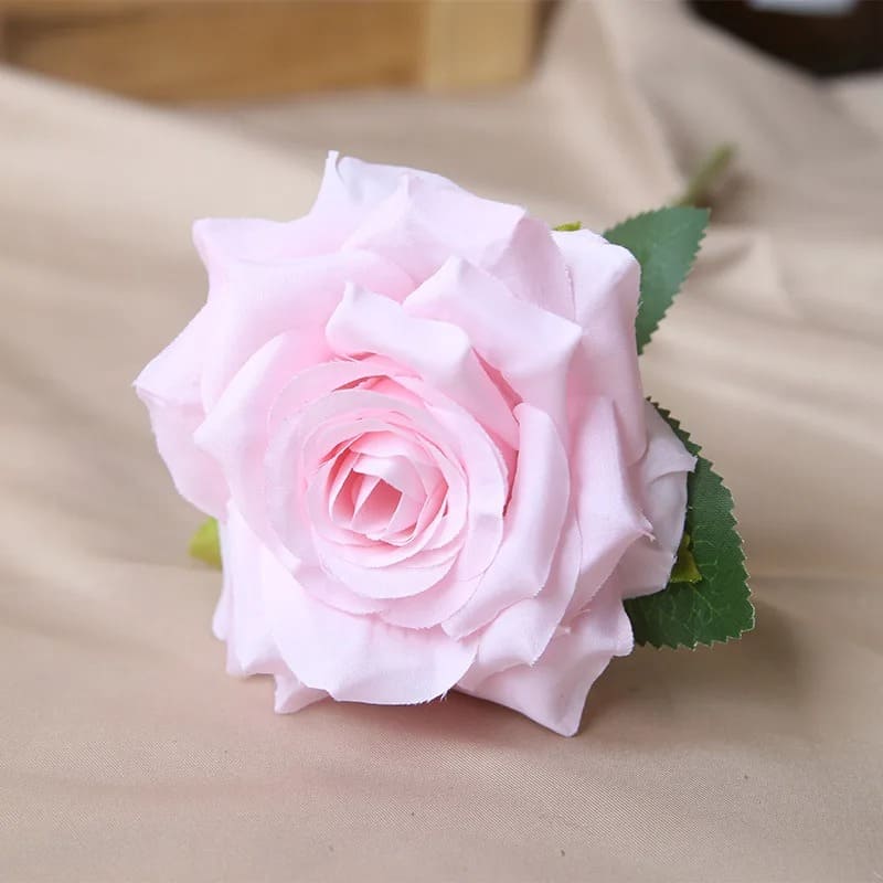 Rose Pas Cher