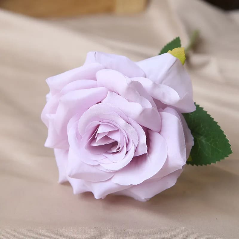 Rose Pas Cher