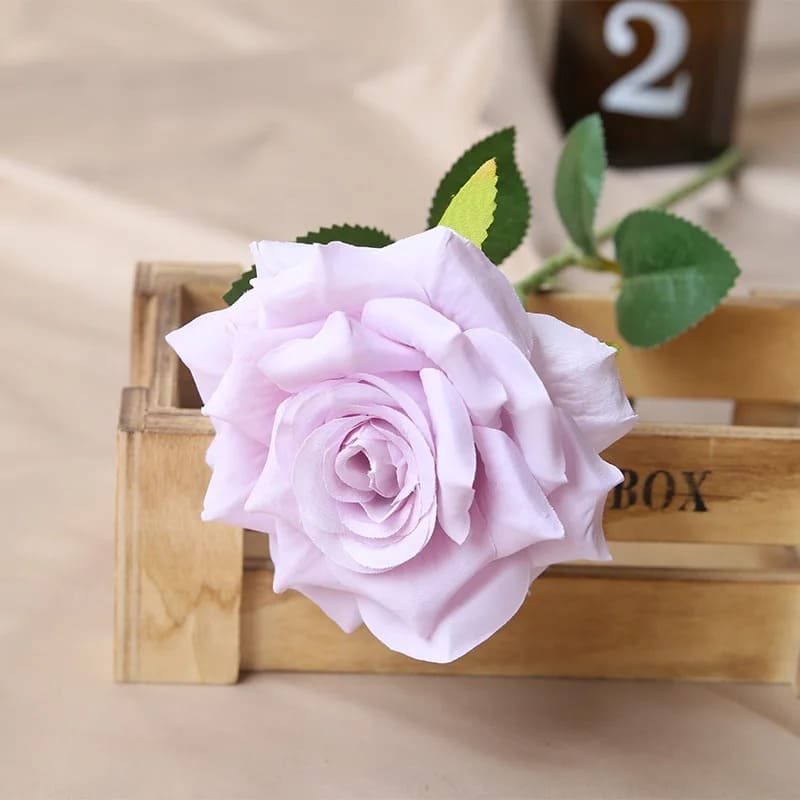 Rose Pas Cher
