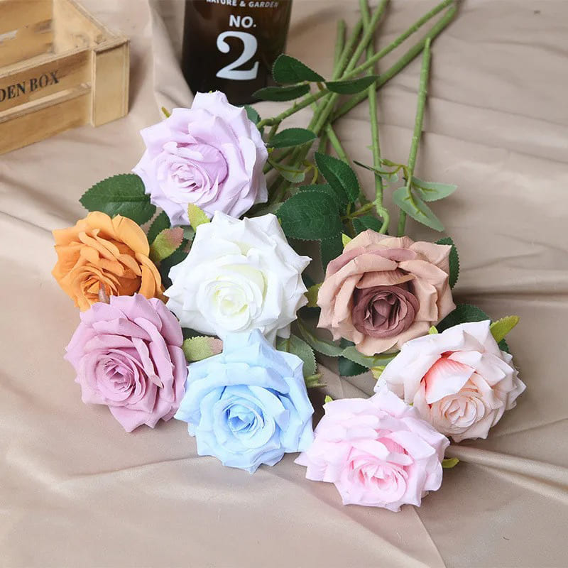 Rose Pas Cher