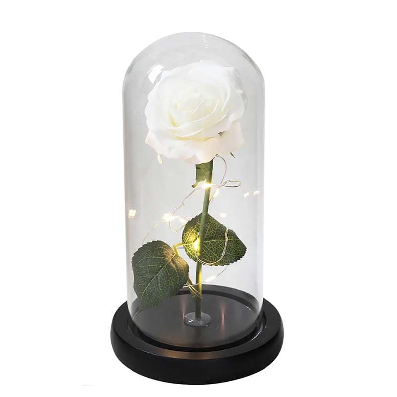 Cloche en Verre Rose