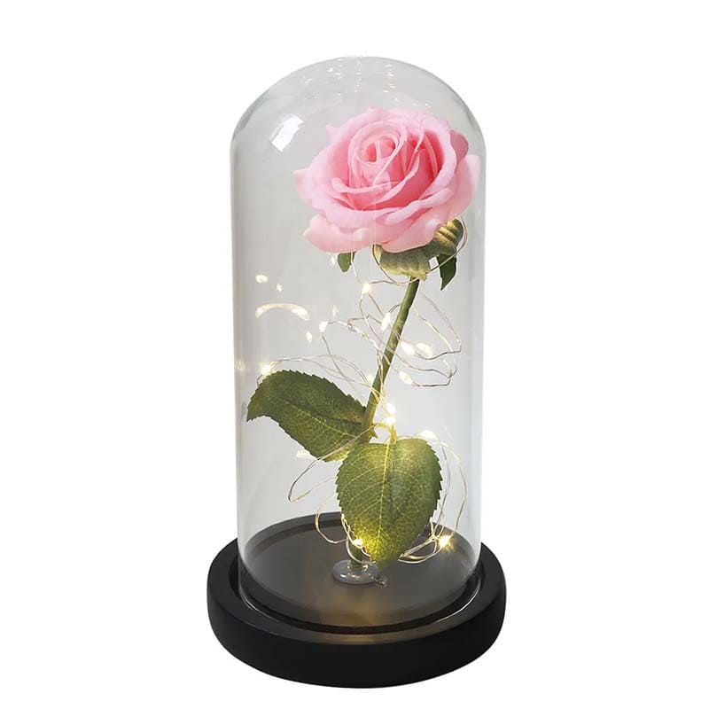 Cloche en Verre Rose