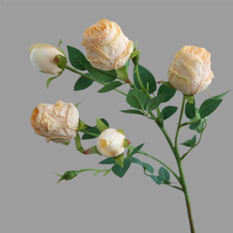 Rose Vintage