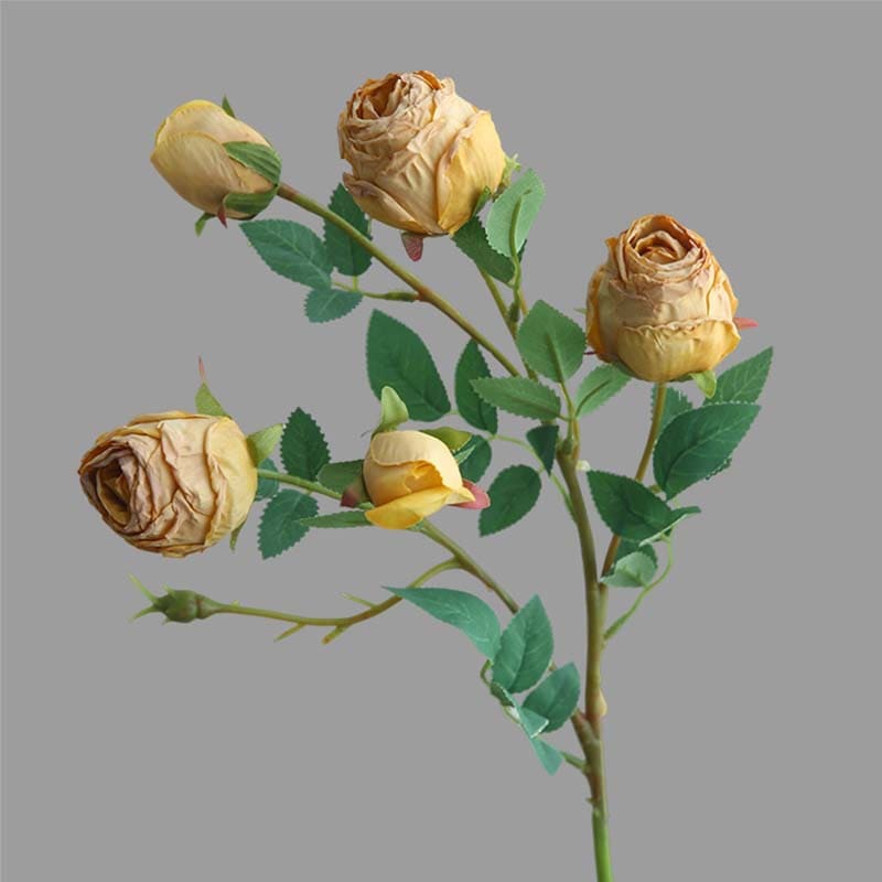 Rose Vintage