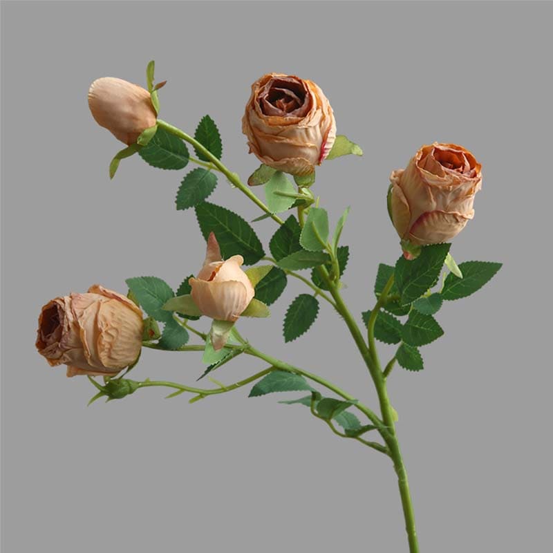 Rose Vintage