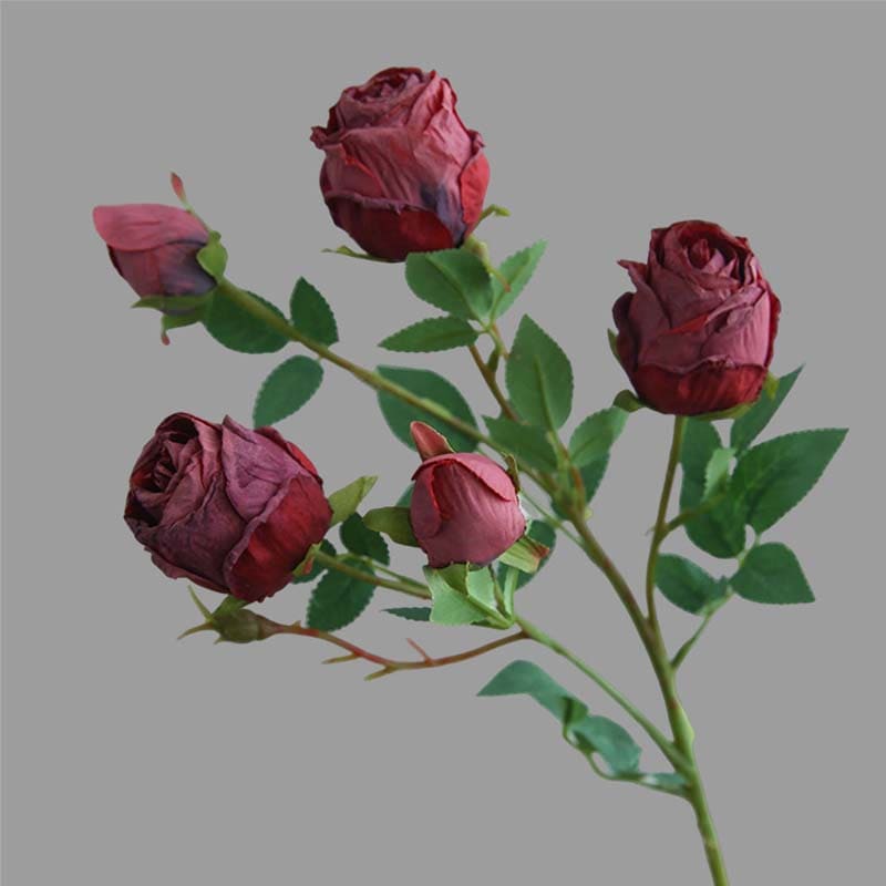 Rose Vintage