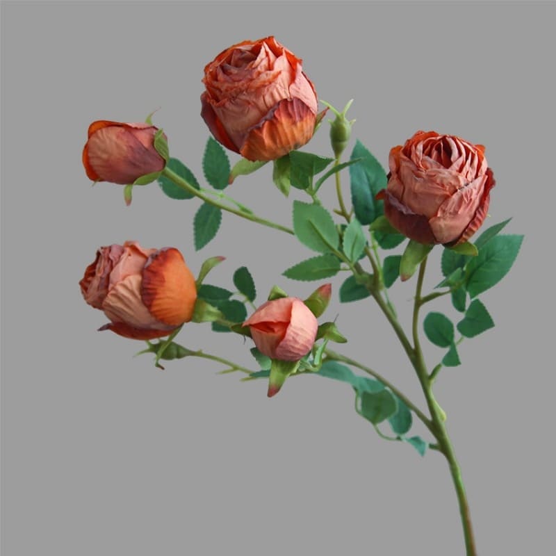Rose Vintage