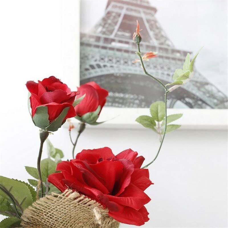 Pot de Rose