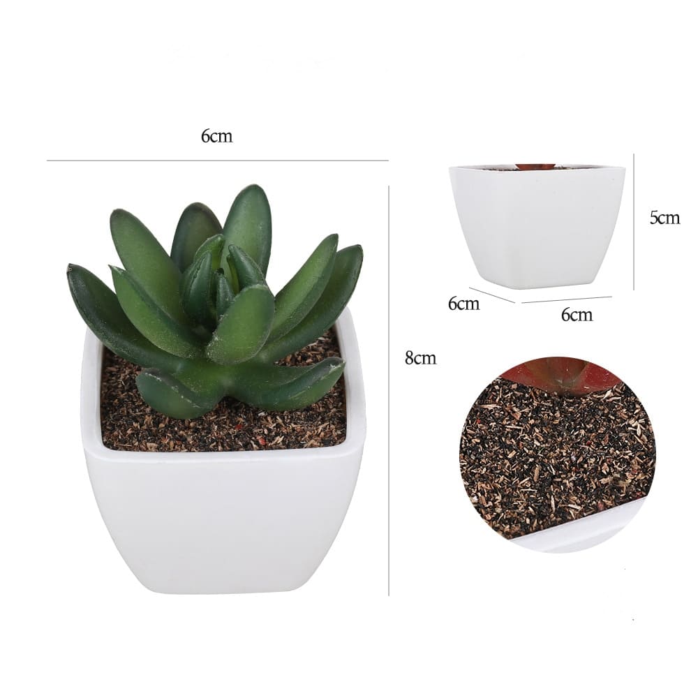 Succulentes Artificielles de Qualité Premium