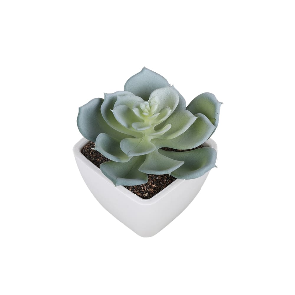Succulentes Artificielles de Qualité Premium