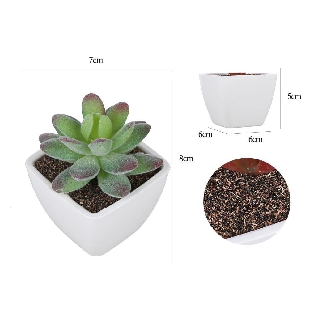 Succulentes Artificielles de Qualité Premium