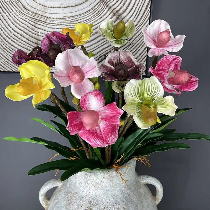 Tige Orchidée