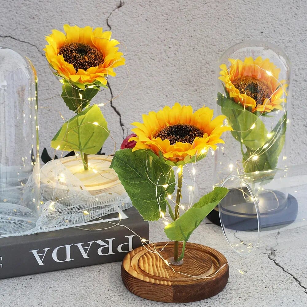 Cloche en Verre pour Tournesol Éternel