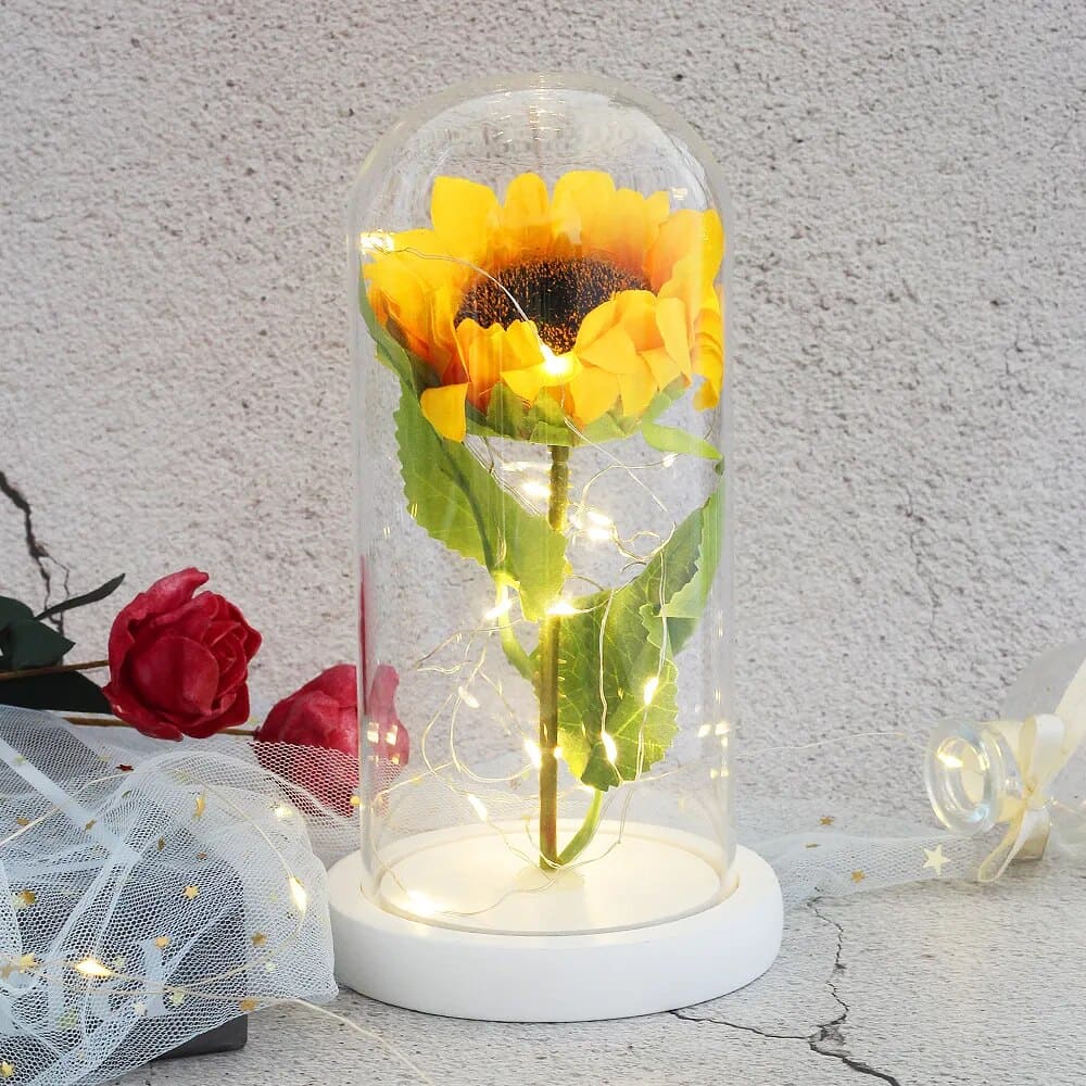 Cloche en Verre pour Tournesol Éternel