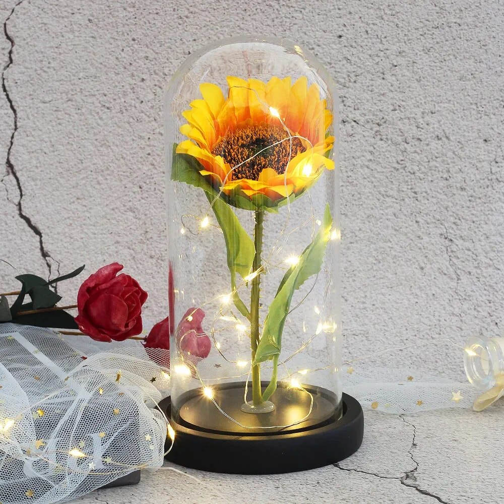 Cloche en Verre pour Tournesol Éternel
