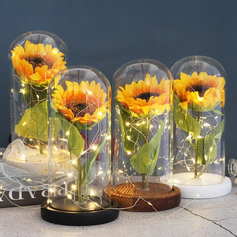 Cloche en Verre pour Tournesol Éternel