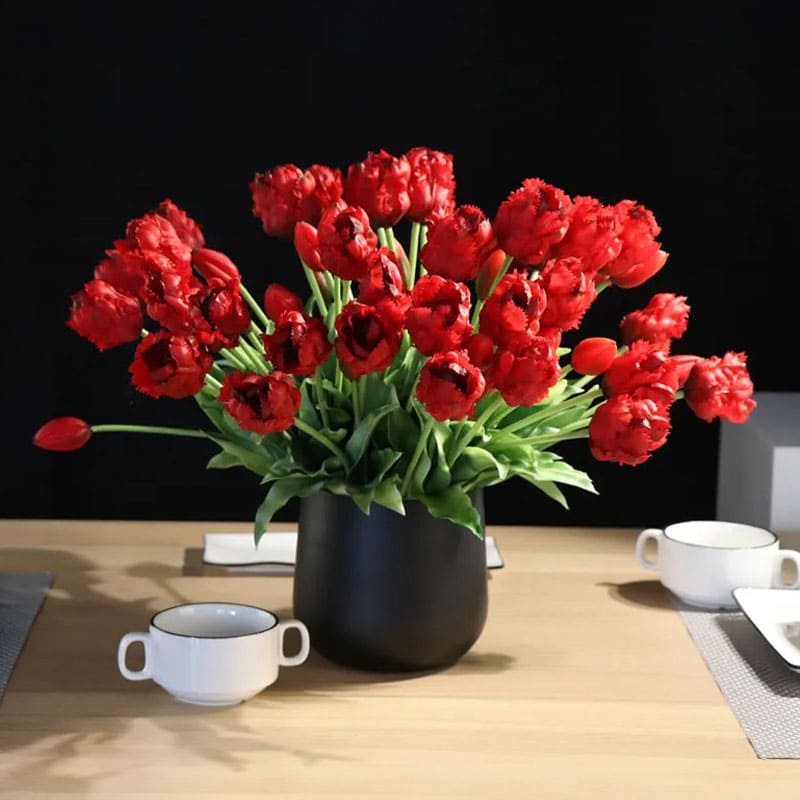 Tulipes Perroquet Premium.