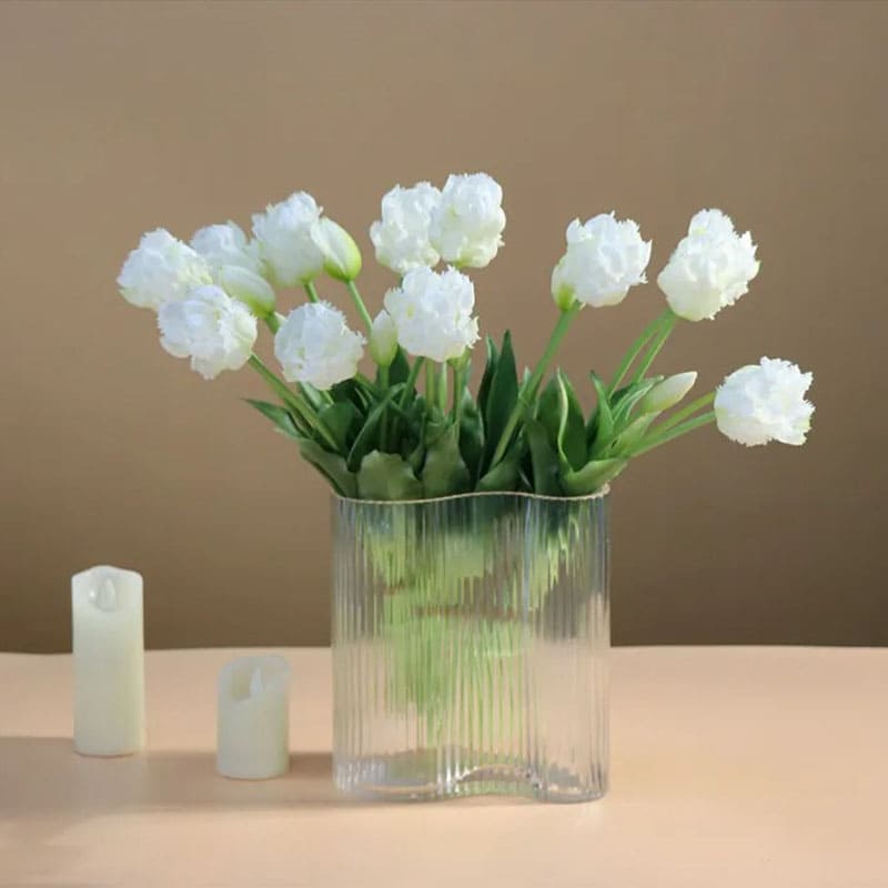 Tulipes Perroquet Premium.