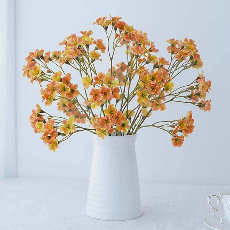 *Vernicia Fordii - Huile Végétale Bio 100% Pure* devient *Vernicia Fordii*