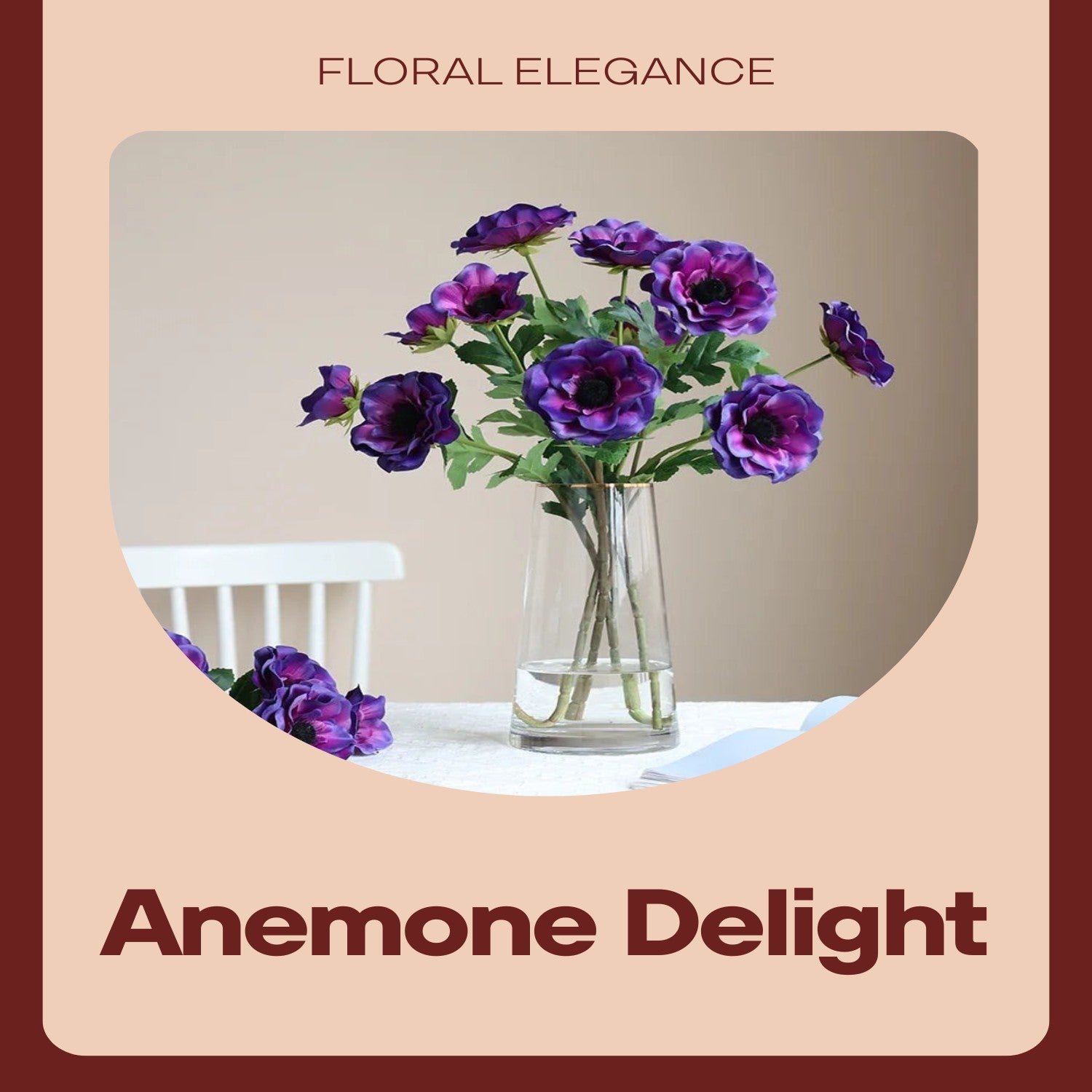 Anémone Rouge - Description