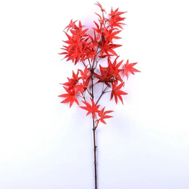 Branche d'Érable Naturelle