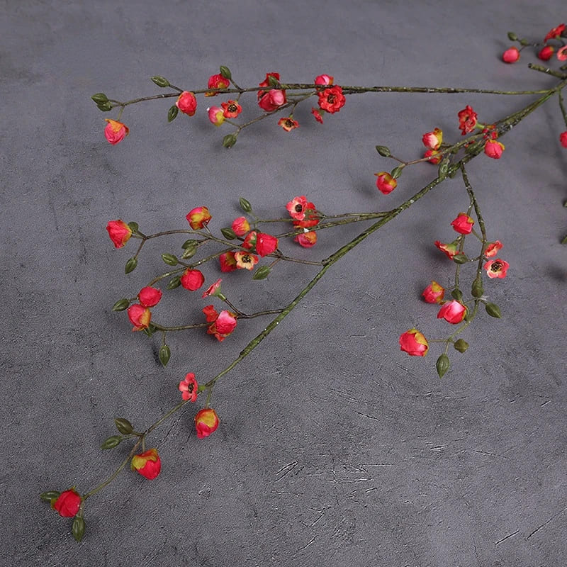Cognassier du Japon: Variété Koromo