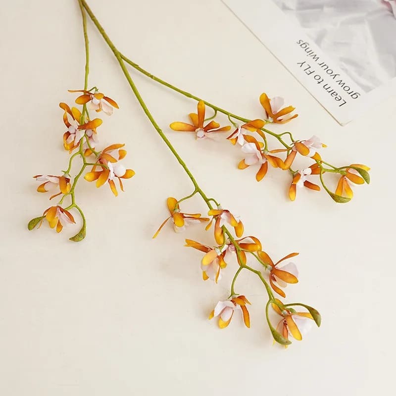 Cymbidium Floribundum