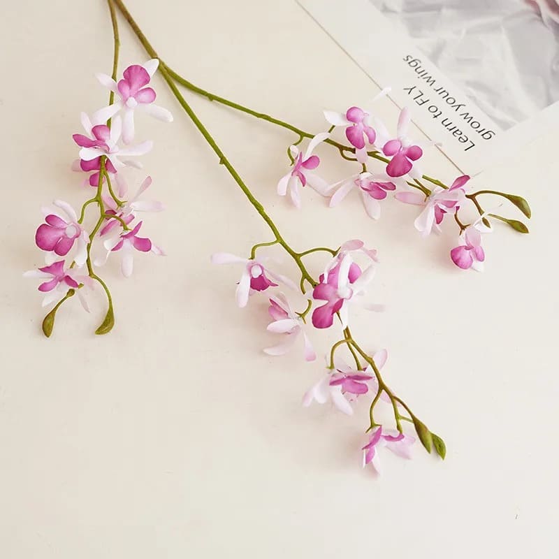 Cymbidium Floribundum