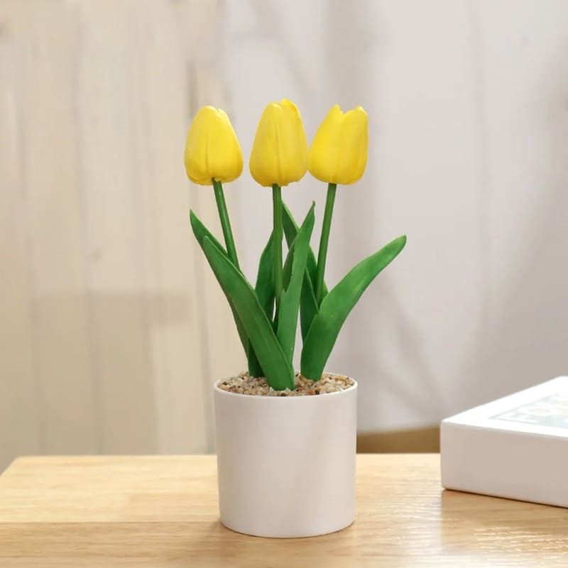 Tulipes en Pot