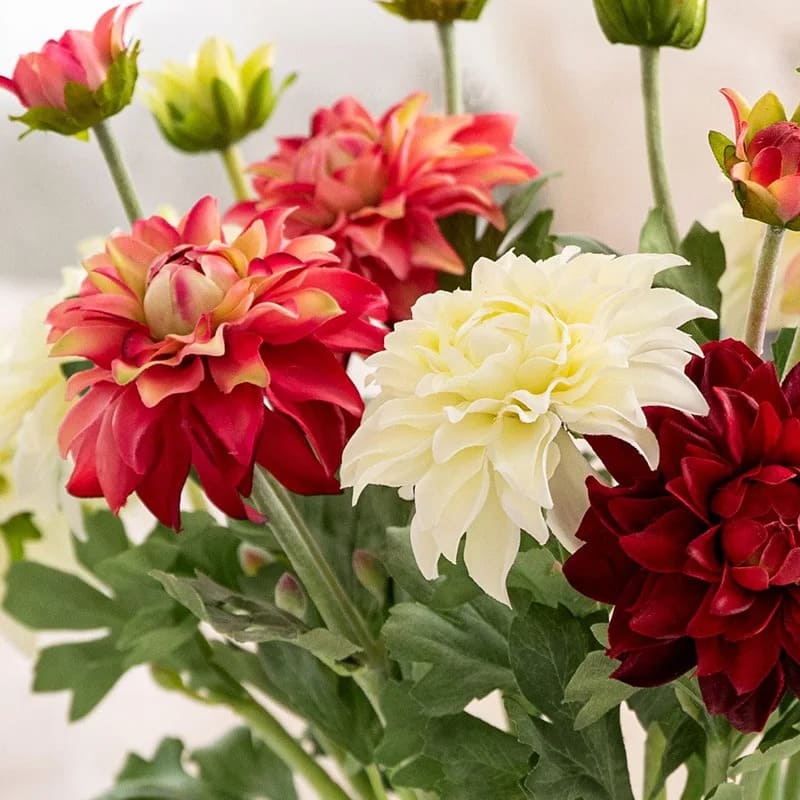 Dahlia Artificiel