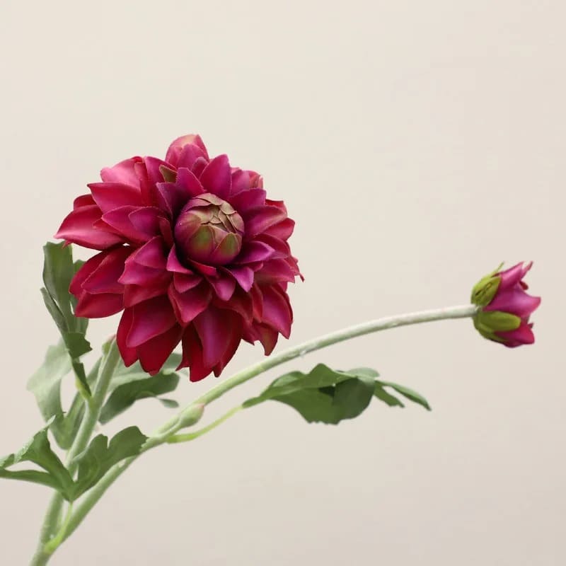 Dahlia Artificiel