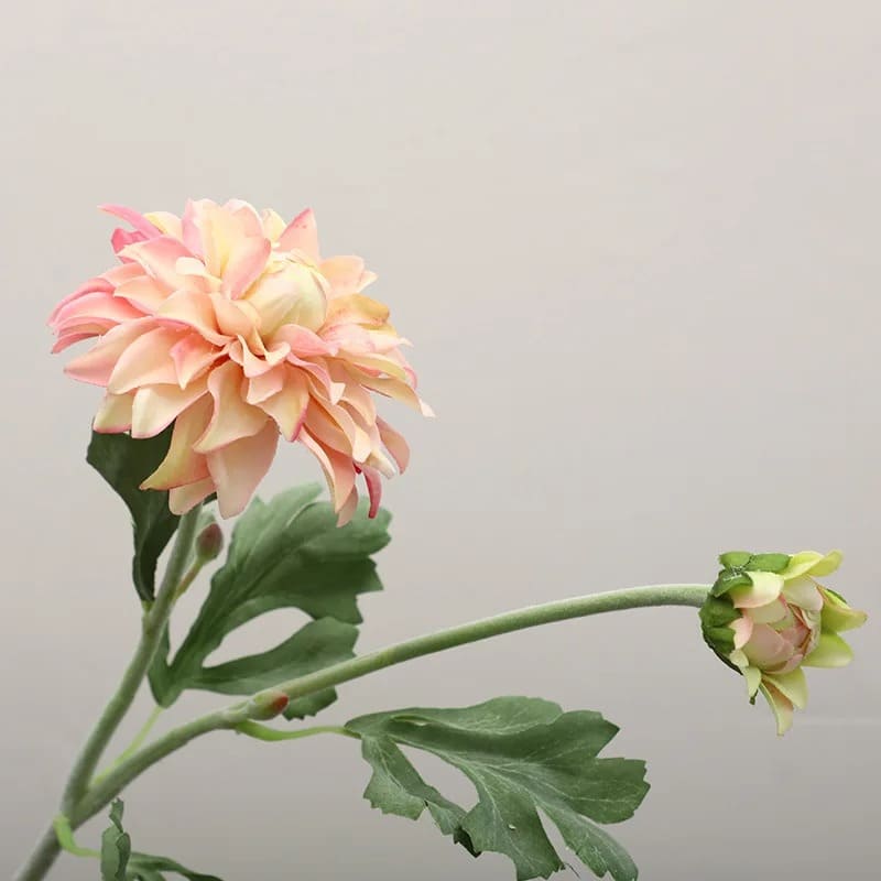 Dahlia Artificiel