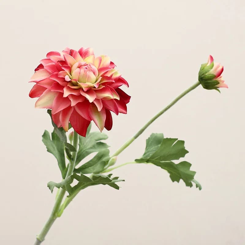 Dahlia Artificiel