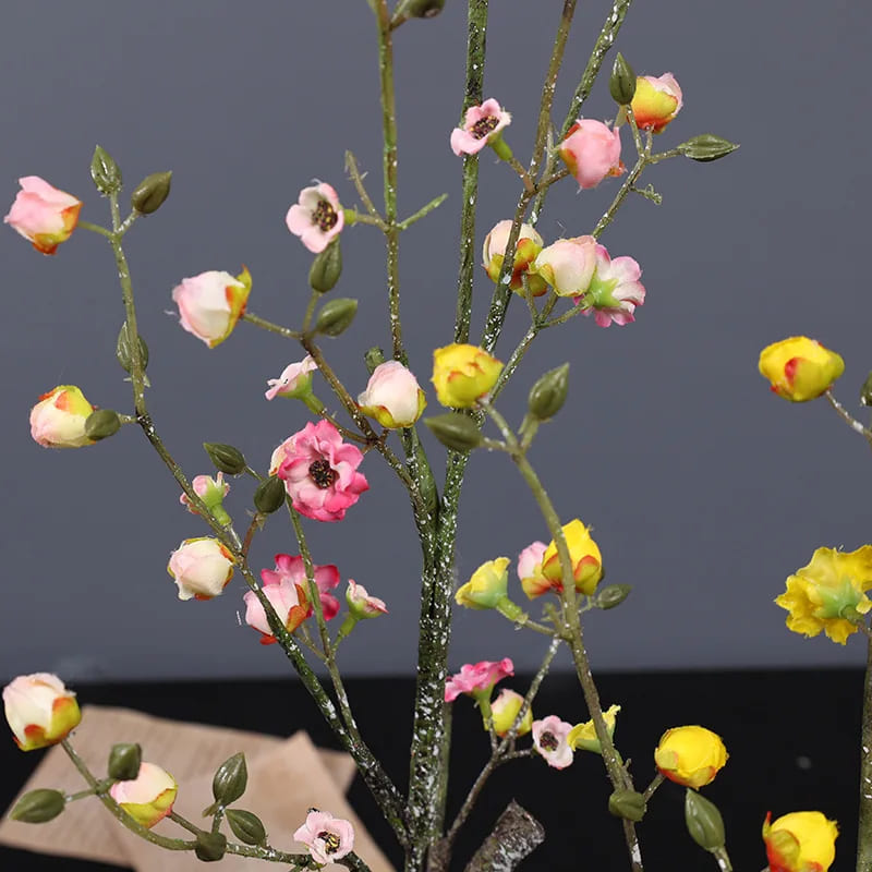 Cognassier du Japon: Variété Koromo