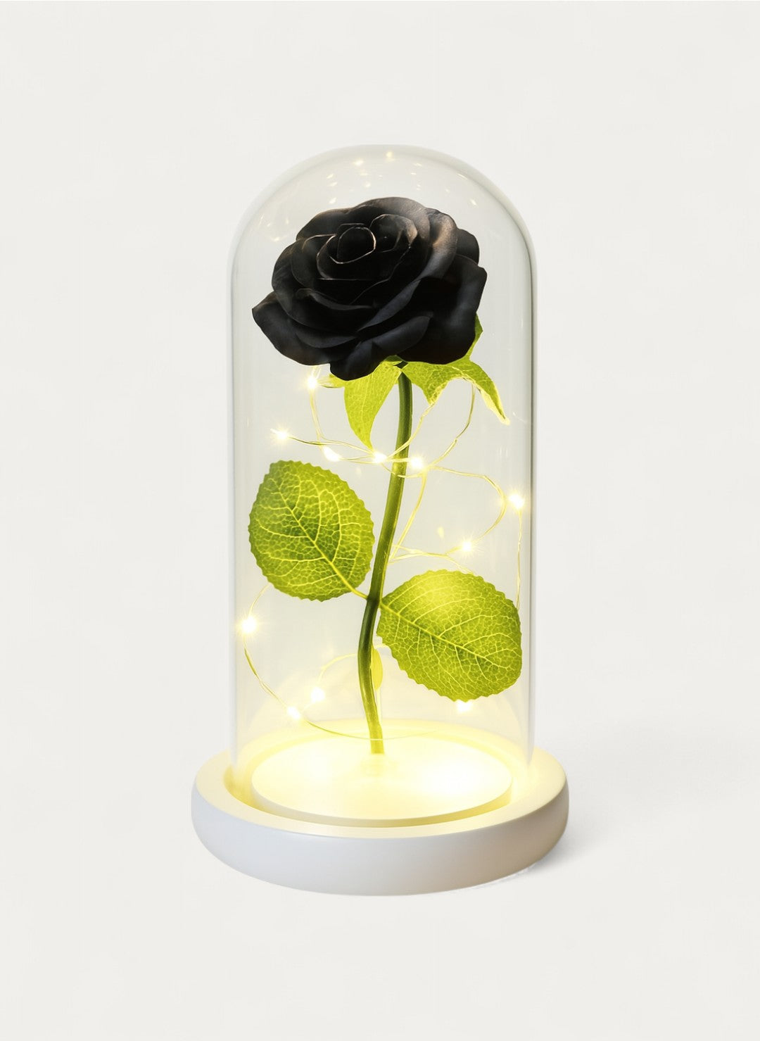 Rose Éternelle sous Cloche
