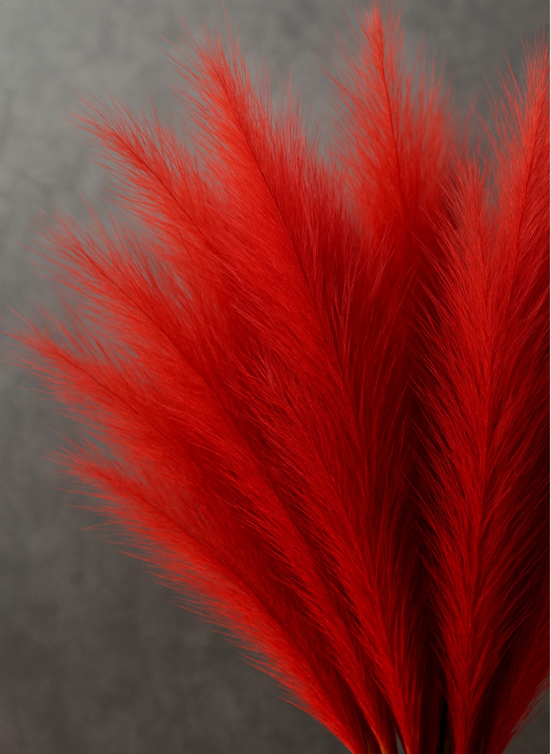 Pampa Artificielle Rouge 43cm