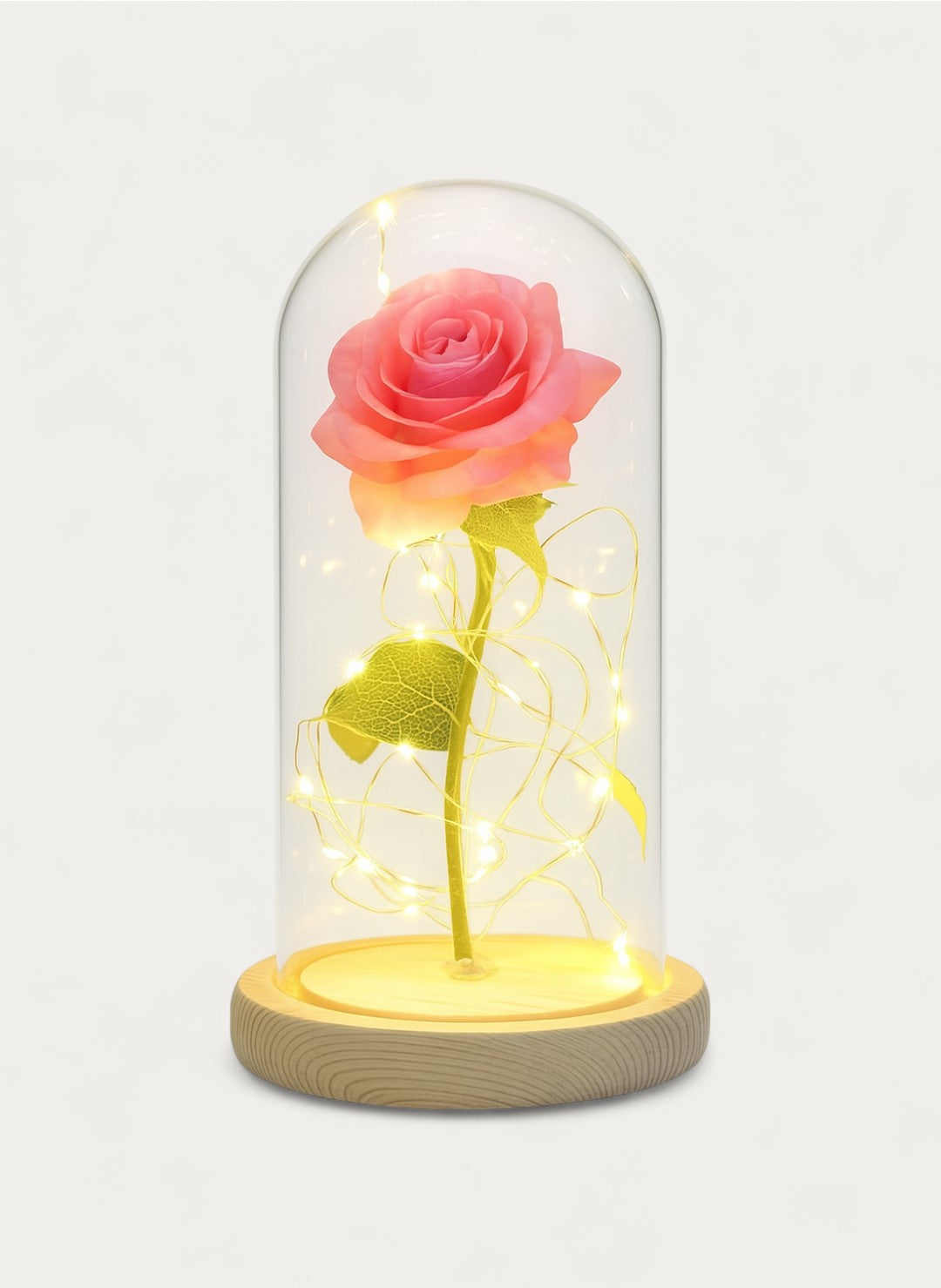 Rose Éternelle sous Cloche