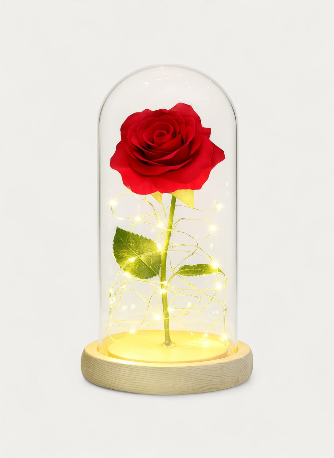 Rose Éternelle sous Cloche