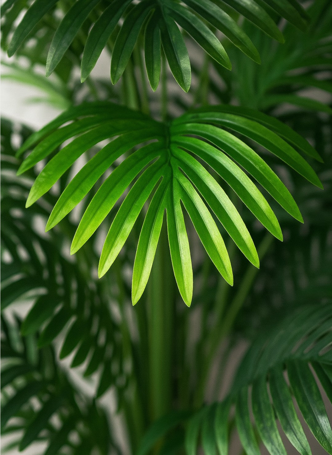 Plante Artificielle Grande Taille