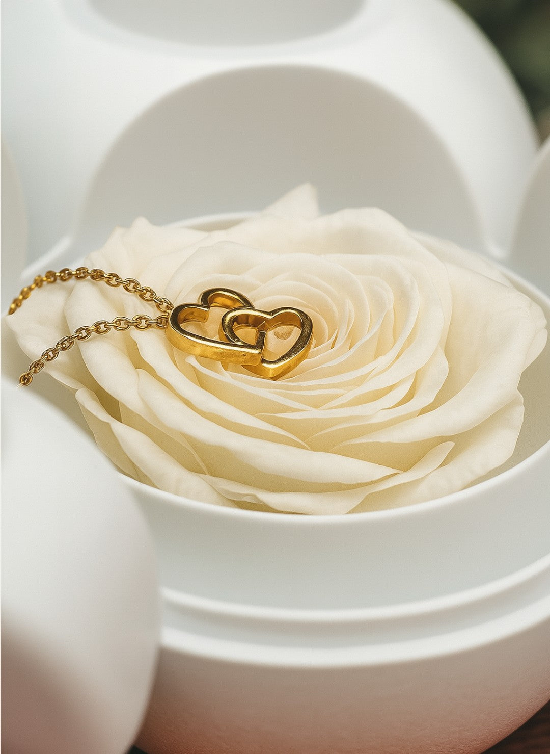 Ours Rose Éternelle avec Collier Personnalisé